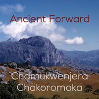 chamukwenjera_chakoromoka300x300