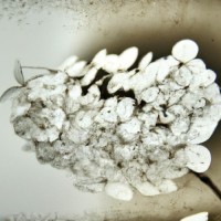 SoonIsAllWeHaveCover